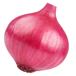 img not found